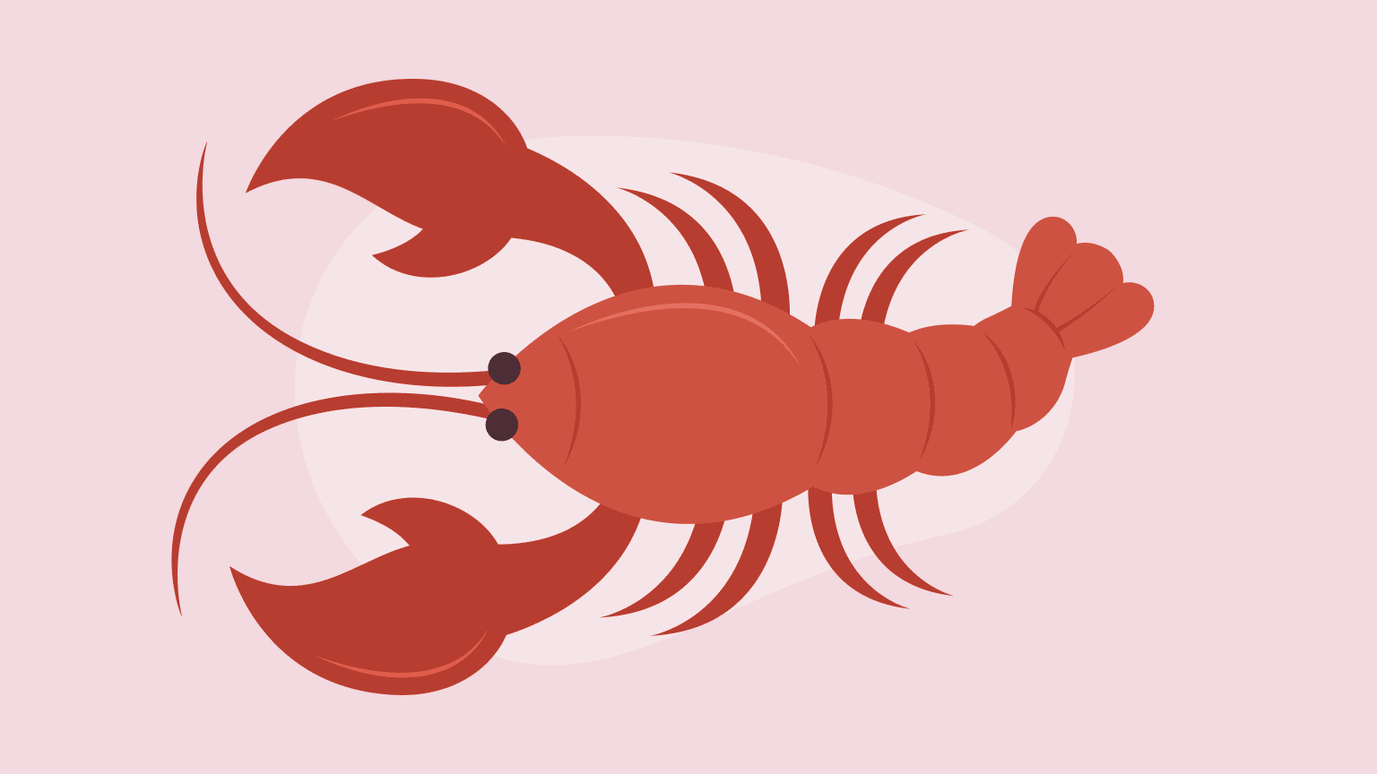 The Wisdom of Lobsters: If You Want to Grow, You Have to Break Out of Your Shell